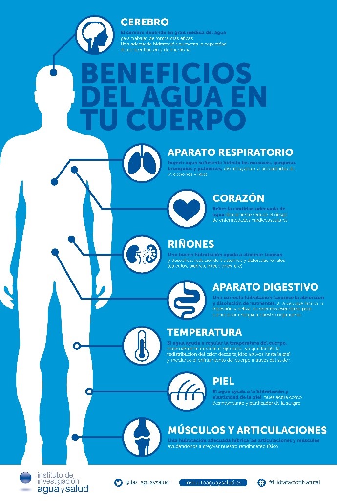 La importancia de una buena hidratación en la vida diaria JUNGHANNS